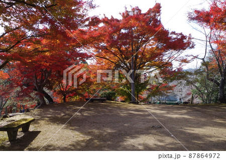 三次市尾関山公園の紅葉の景色 87864972