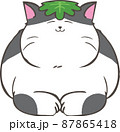 柏餅の葉っぱを頭に乗せているぶち猫 87865418