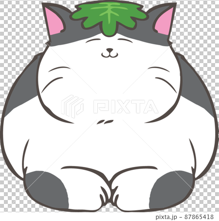 Brindle cat with Kashiwamochi leaves on its head Brindle cat with Kashiwamochi leaves on its head 87865418
