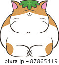 柏餅の葉っぱを頭に乗せている茶白猫 87865419
