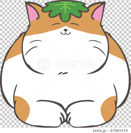 A brown-white cat with Kashiwamochi leaves on - Stock