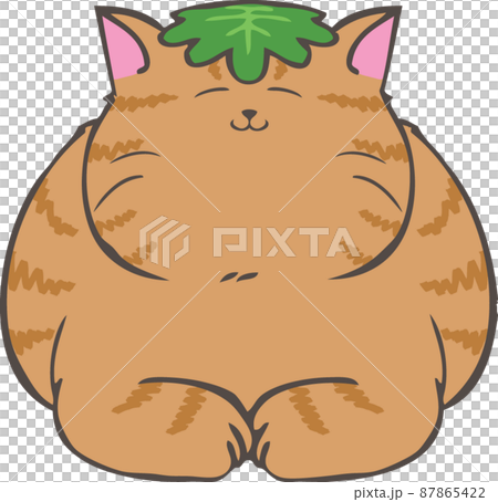 Tea tabby cat with Kashiwa mochi leaves on its head 87865422