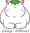 柏餅の葉っぱを頭に乗せている白猫 87865423