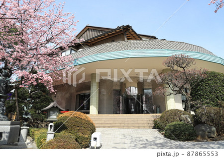密蔵院　ギャラリーと安行桜（埼玉県川口市安行原）　 87865553