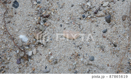 A lot of sand background, fine river sand A lot of sand background, fine river sand 87865619