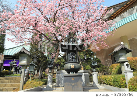 密蔵院 ギャラリー横の水掛け不動尊(埼玉県川口市安行原) 密蔵院 ギャラリー横の水掛け不動尊(埼玉県川口市安行原) 87865766