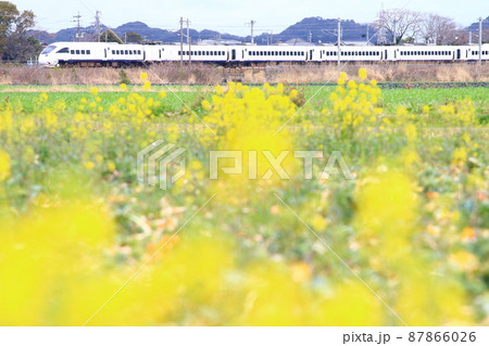 春爛漫の特急列車・885系「ソニック」 春爛漫の特急列車・885系「ソニック」 87866026
