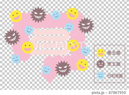 腸内フローラ　腸内細菌 87867950