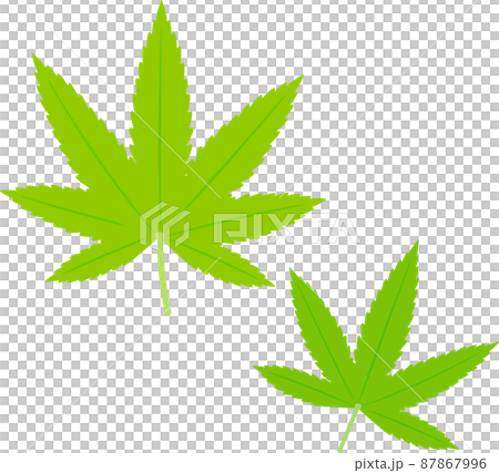 ヘンプ、大麻の葉 87867996