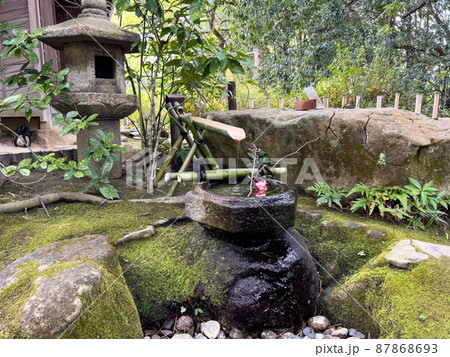 大寒の栗林公園（1月下旬） 87868693