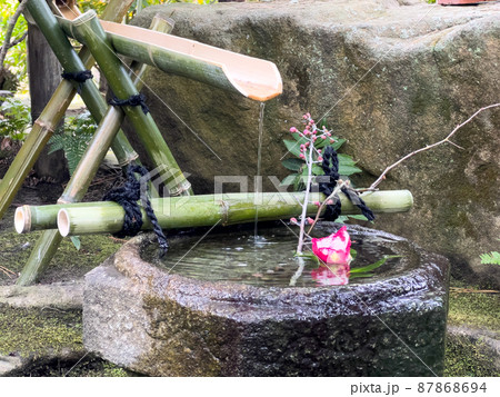 大寒の栗林公園(1月下旬) 大寒の栗林公園(1月下旬) 87868694