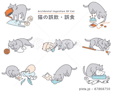 猫の誤飲誤食　イラストセット 87868750