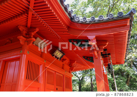 陸奥国分寺薬師堂 准胝観音堂(宮城県仙台市) 陸奥国分寺薬師堂 准胝観音堂(宮城県仙台市) 87868823