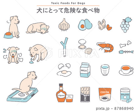 犬 危険な食べ物のイラストセットのイラスト素材 犬 危険な食べ物のイラストセットのイラスト素材