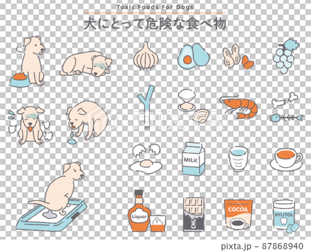 犬 危険な食べ物のイラストセットのイラスト素材 犬 危険な食べ物のイラストセットのイラスト素材