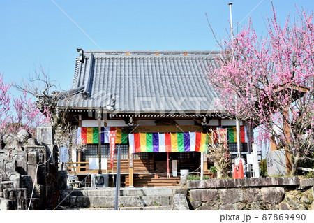 真福寺(月ヶ瀬梅渓) 【奈良県月ヶ瀬村】 真福寺(月ヶ瀬梅渓) 【奈良県月ヶ瀬村】 87869490