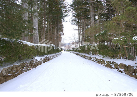 高野山　蛇腹道 87869706