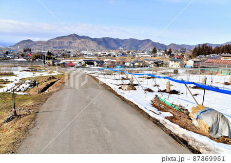 雁田山方面を望む(長野県高山村)【2022.3】 87869961