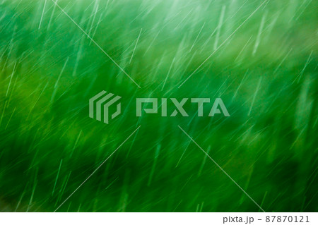 blurry falling raindrops on green background with selective focus blurry falling raindrops on green background with selective focus 87870121