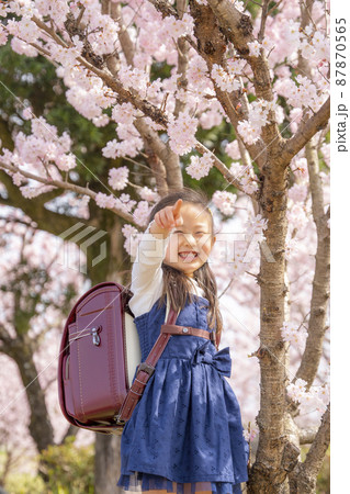 元気いっぱい!　新1年生の女の子 87870565