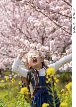 元気いっぱい! 新1年生の女の子 元気いっぱい! 新1年生の女の子 87870566