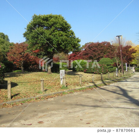 隅田公園（墨田区側） 87870661