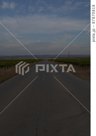 Road between wheat fields before harvest, 87870818