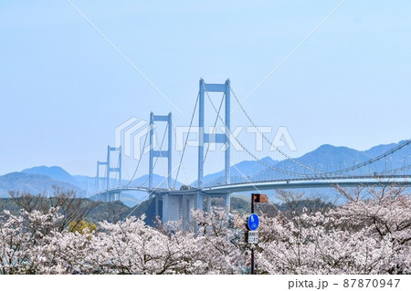 【しまなみ海道】糸山公園、来島海峡大橋と満開の桜 87870947