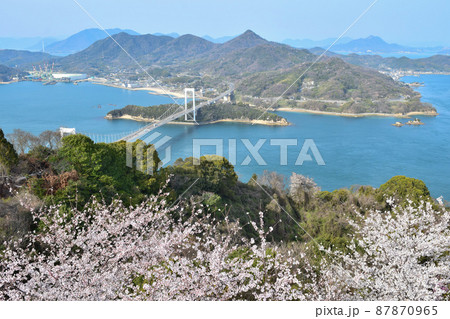 【しまなみ海道】カレイ山展望公園、カレイ山山頂展望台からの絶景と満開の桜と伯方・大島大橋 87870965