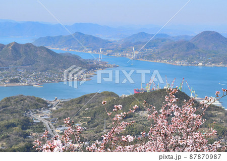 【しまなみ海道】岩城島、展望台からの絶景と満開のさくら 【しまなみ海道】岩城島、展望台からの絶景と満開のさくら 87870987