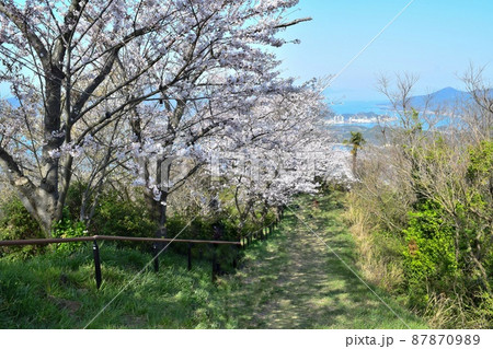 【しまなみ海道】岩城島、展望台からの絶景と満開のさくら 【しまなみ海道】岩城島、展望台からの絶景と満開のさくら 87870989