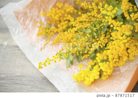 ミモザの花束　国際女性デーのイメージ 87871517