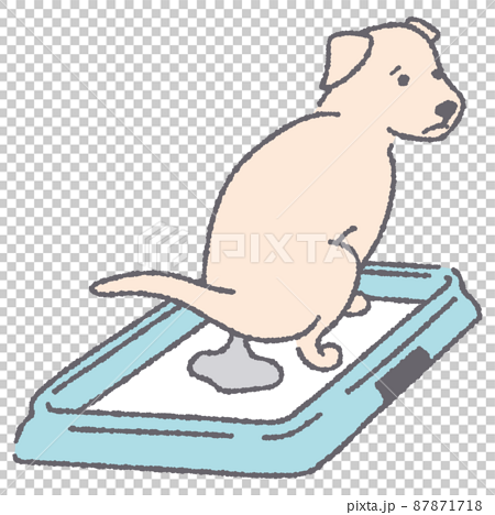 Illustration of a dog excreting in the toilet - Stock Illustration  [87871718] - PIXTA
