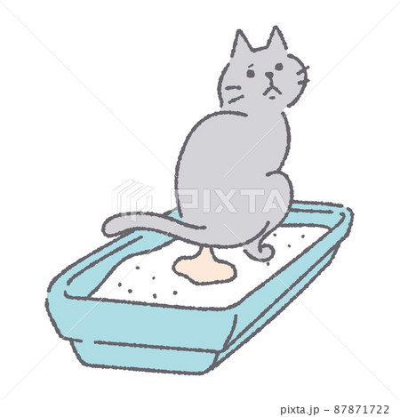 トイレで排泄する猫のイラストのイラスト素材