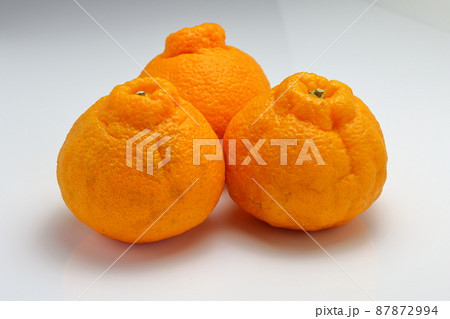 不知火 不知火 87872994