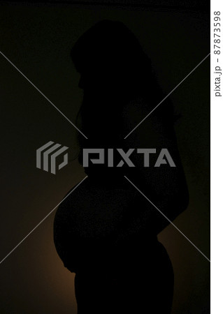妊婦　シルエット 87873598