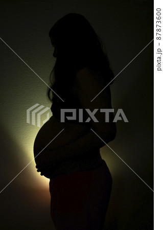 妊婦 シルエット 妊婦 シルエット 87873600