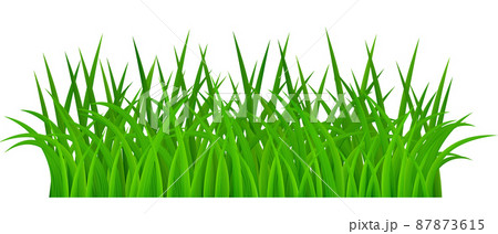 Green grass on white Green grass on white 87873615