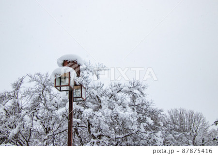 雪の積もった公園のライト 雪の積もった公園のライト 87875416
