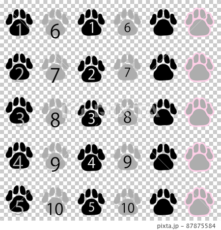 黑色腳印中的一組數字 87875584