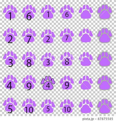 紫色腳印中的一組數字 87875585