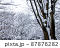 真冬の雪景色 87876282