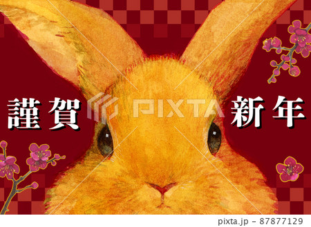 2023年 卯年 うさぎの年賀状 2023年 卯年 うさぎの年賀状 87877129