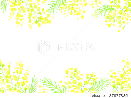 水彩で描いたミモザの花の背景イラスト 87877386