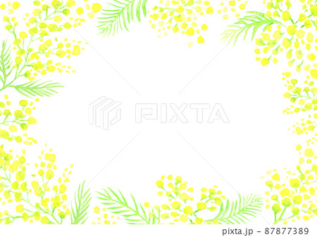 水彩で描いたミモザの花のフレーム 87877389