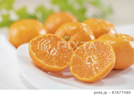 新蘭で美味しい蜜柑をカットしたイメージ 新蘭で美味しい蜜柑をカットしたイメージ 87877480