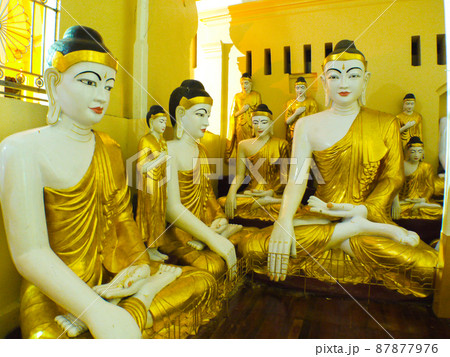 ミャンマー・ヤンゴン　シュエダゴンパゴダ 87877976