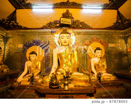 ミャンマー・ヤンゴン　シュエダゴンパゴダ 87878005