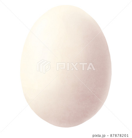 たまご 87878201