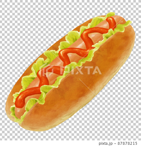Hot dog 87878215